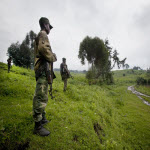 Des soldats congolais au Nord-Kivu le long de la frontire avec le Rwanda